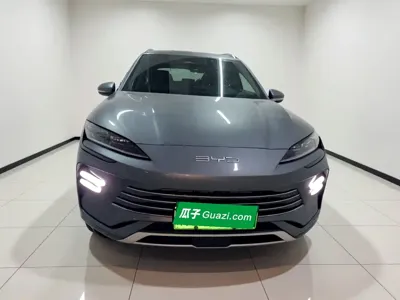 BYD PLUS New Energy