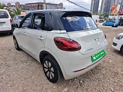 Wuling Bingo