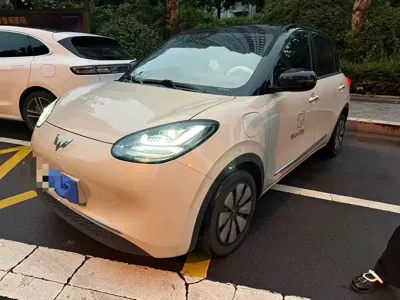 Wuling Bingo