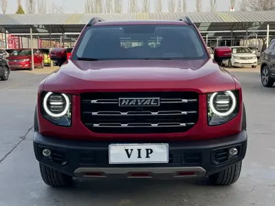 Haval Big Dog