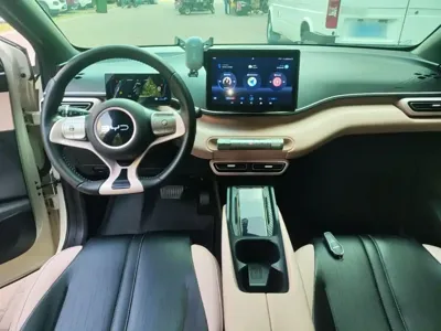 BYD Seagull