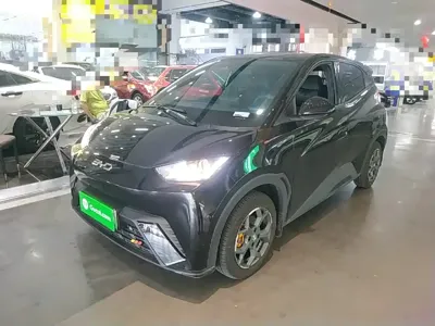 BYD Seagull