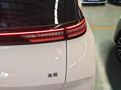 BYD Seagull