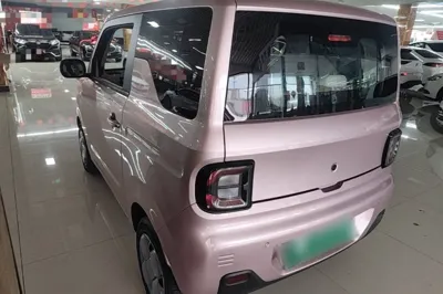 Geely Galaxy Panda