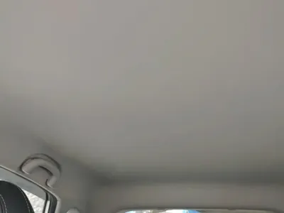 NETA Neta V