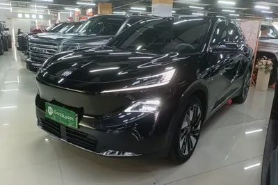 Buick Buick Zijing E7