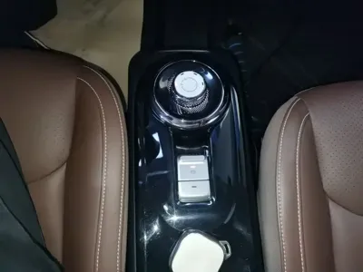 Wuling Bingo