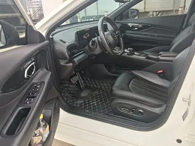 GAC Motor Shadow Leopard