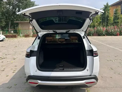BYD L DM-i