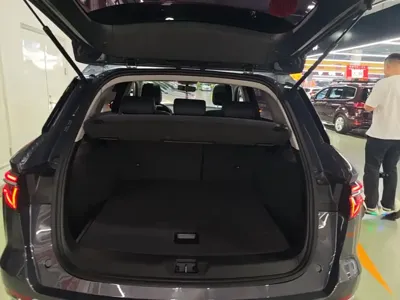BYD Pro New Energy