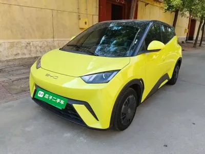 BYD Seagull