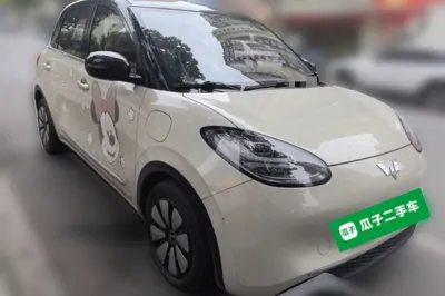 Wuling Bingo