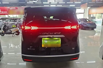 Denza D9