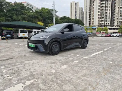 BYD Seagull