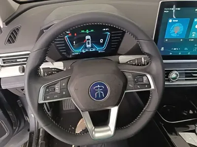 BYD Pro New Energy
