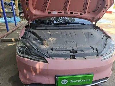 NETA Neta V