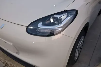Wuling Bingo