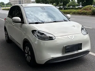 Wuling Bingo