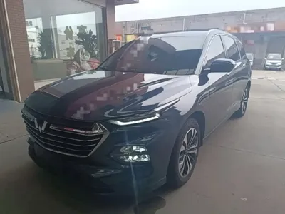 Wuling Victory