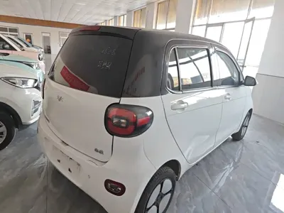 FERRAL EV