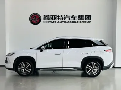 BYD L DM-i
