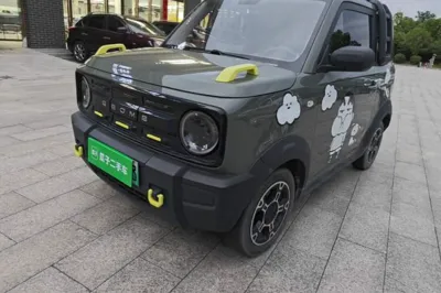 Geely Galaxy Panda
