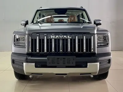 Haval 哈弗猛龙燃油