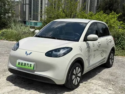 Wuling Bingo