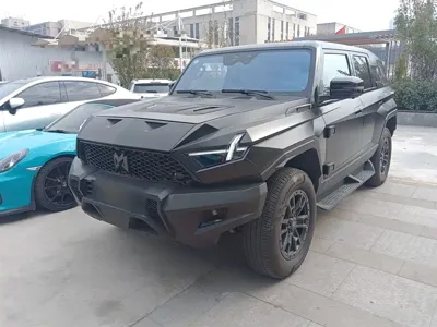 Mengshi Mengshi 917