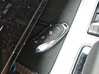 Hongqi Hongqi HS7 PHEV