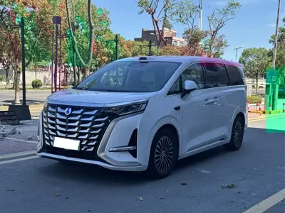 Denza Denza D9