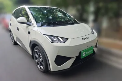 BYD Seagull