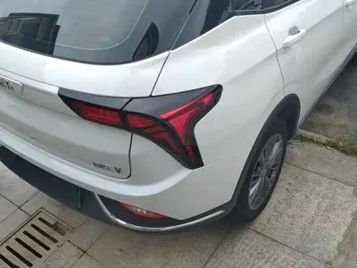 NETA Neta V