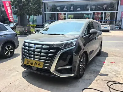Denza Denza D9