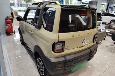 Geely Galaxy Panda