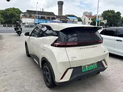 BYD Seagull