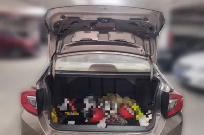 Honda Greiz