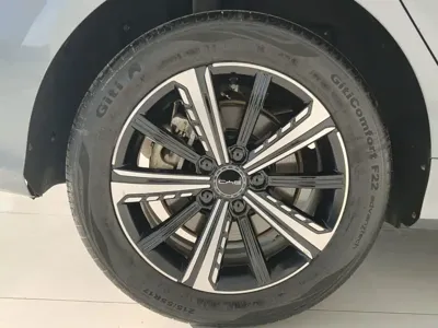 BYD Destroyer 05