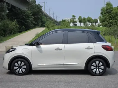 Wuling Bingo