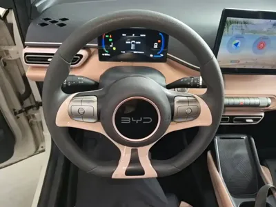 BYD Seagull