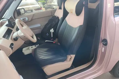 Geely Galaxy Panda