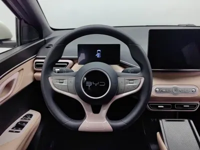 BYD Seagull