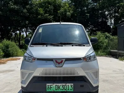 Wuling Wuling EV50