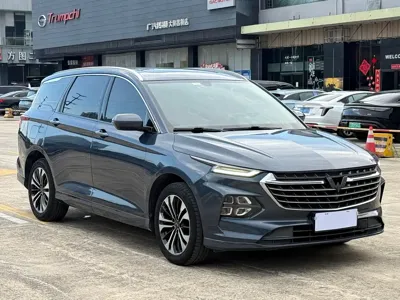 Wuling Victory