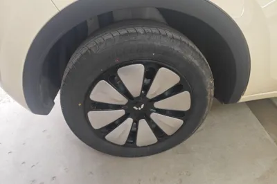 Wuling Bingo