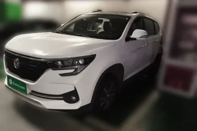 Forthing T5
