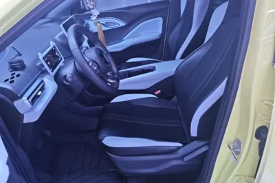 BYD Seagull