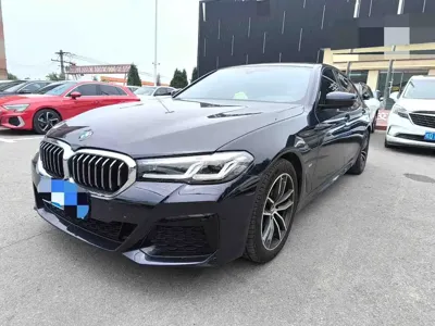 BMW 5 Series (Import)