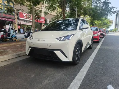 BYD Seagull