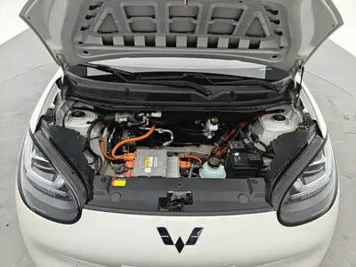 Wuling Bingo